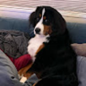 Meet your Posher, Barbara